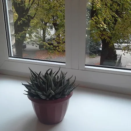 Best Location At Gediminas Avenue Apartment Wilna