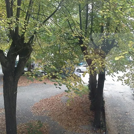 Best Location At Gediminas Avenue Apartment