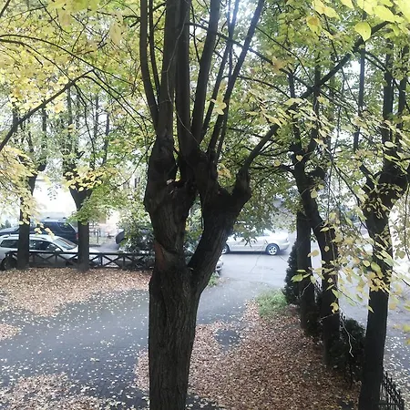 Best Location At Gediminas Avenue