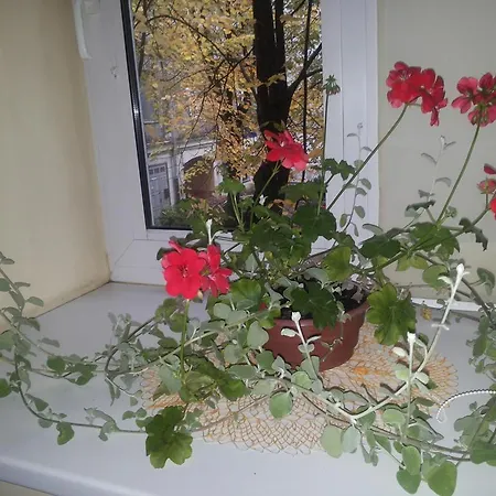 Apartment Best Location At Gediminas Avenue Wilna