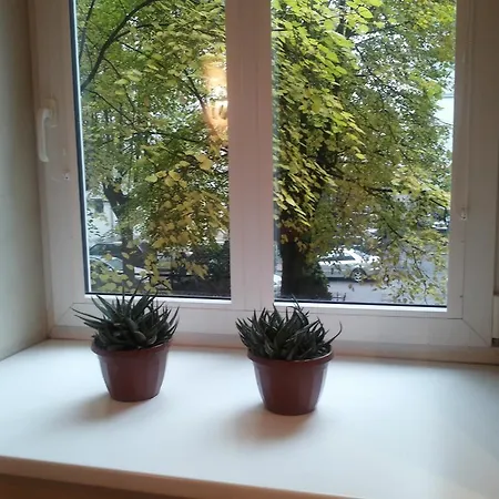 Apartment Best Location At Gediminas Avenue Wilna