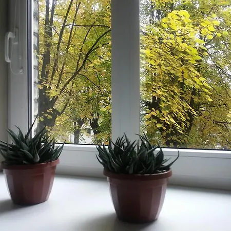 Best Location At Gediminas Avenue * Wilna