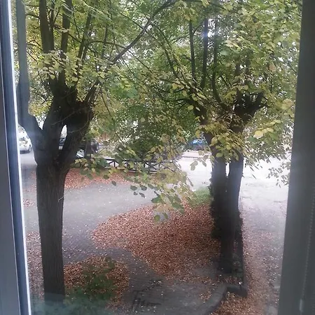 Best Location At Gediminas Avenue *
